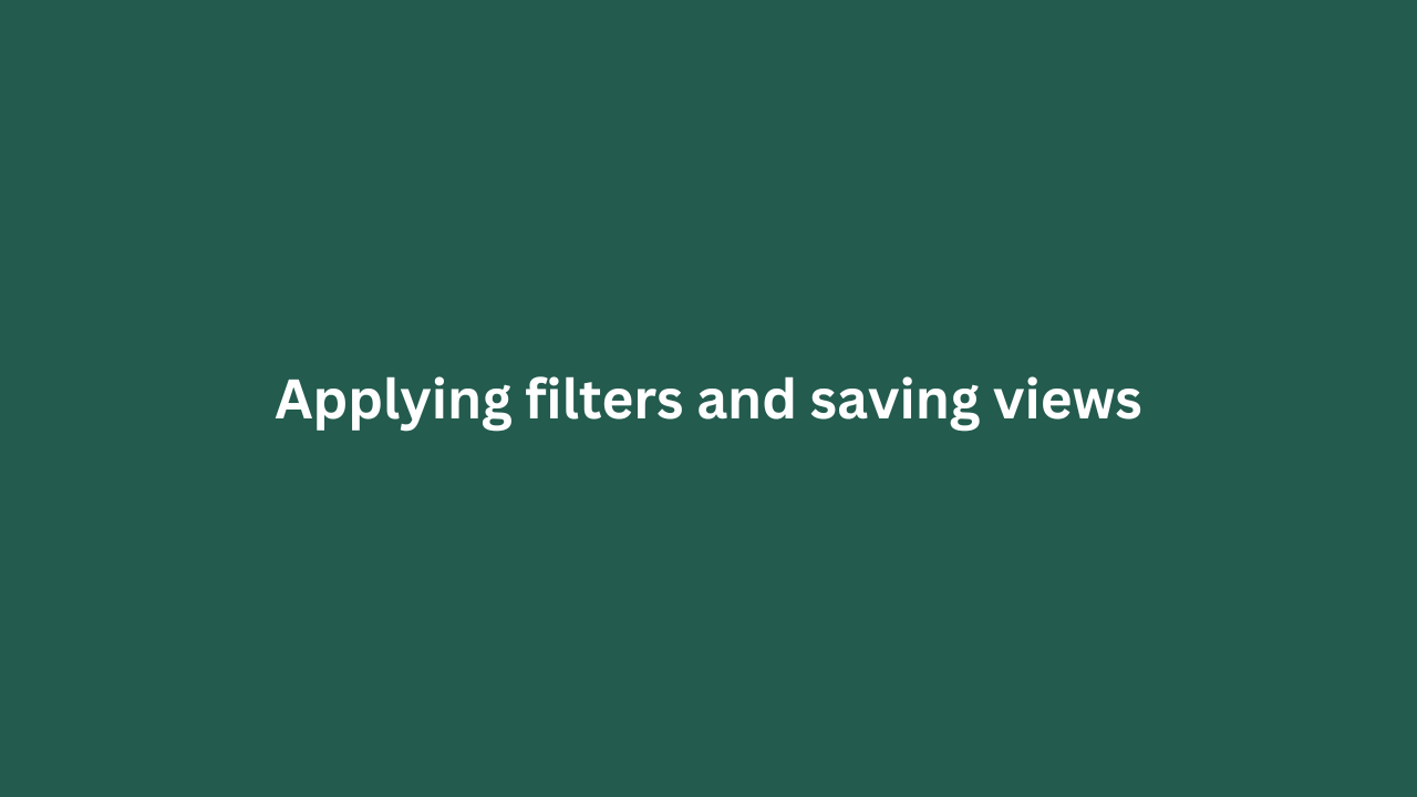 Applying Filters And Saving Views featured image